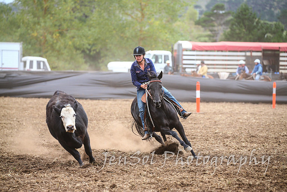 NimmitabelCampdraft2017_2353