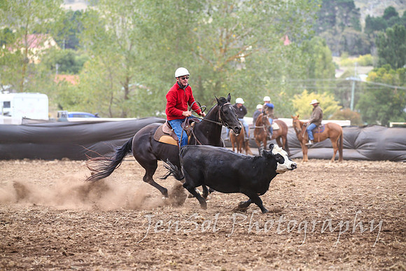 NimmitabelCampdraft2017_3156