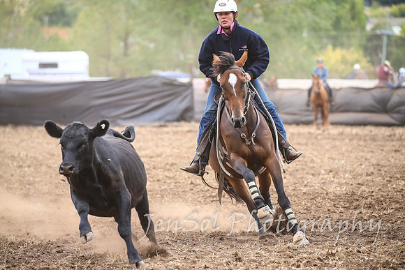 NimmitabelCampdraft2017_2373