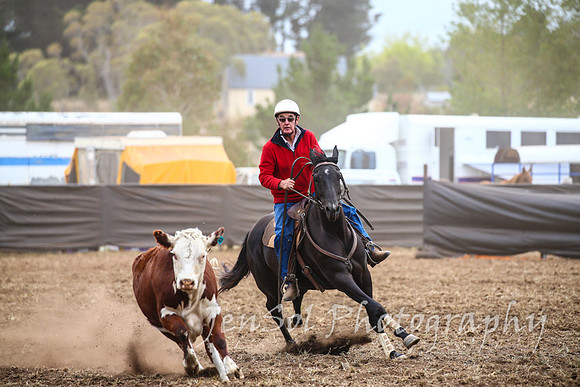 NimmitabelCampdraft2017_2309