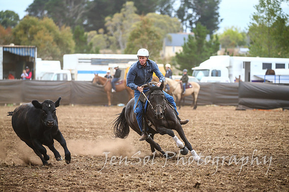 NimmitabelCampdraft2017_2355