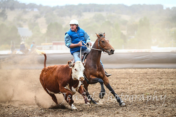 NimmitabelCampdraft2017_2323