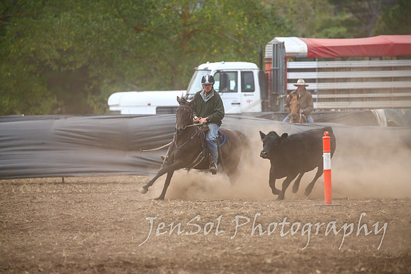 NimmitabelCampdraft2017_3079