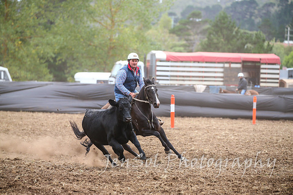 NimmitabelCampdraft2017_2346