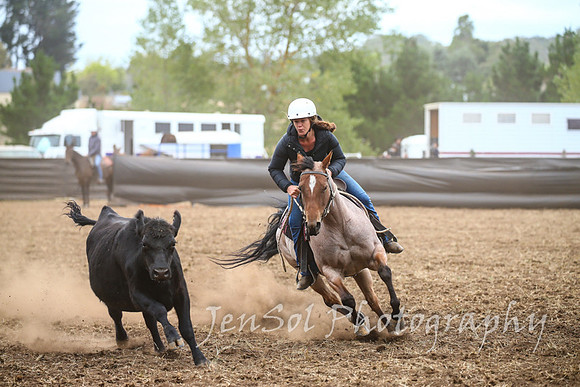 NimmitabelCampdraft2017_2435