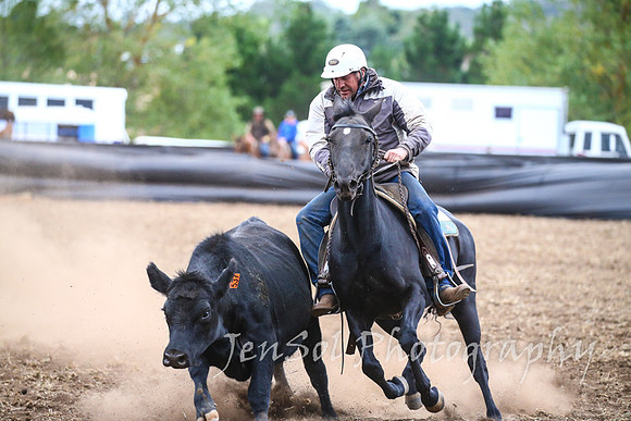 NimmitabelCampdraft2017_3746
