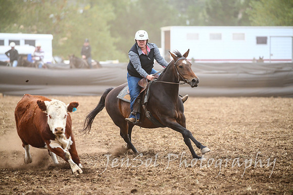NimmitabelCampdraft2017_2504