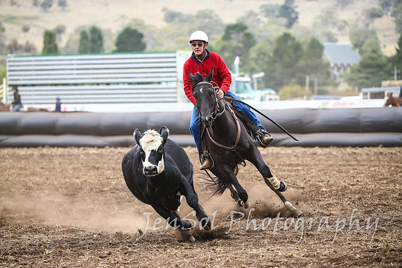 NimmitabelCampdraft2017_3162