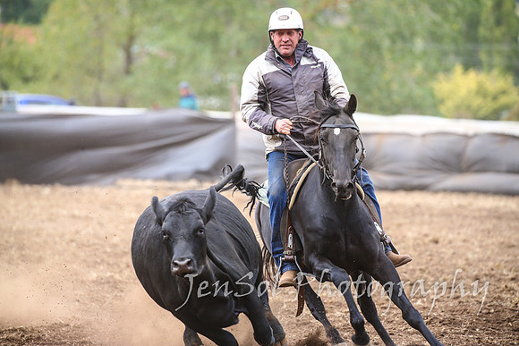 NimmitabelCampdraft2017_3126