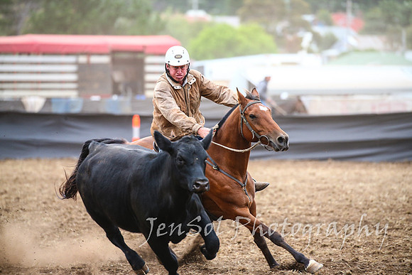 NimmitabelCampdraft2017_2257