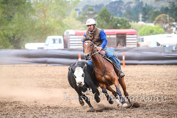 NimmitabelCampdraft2017_3289