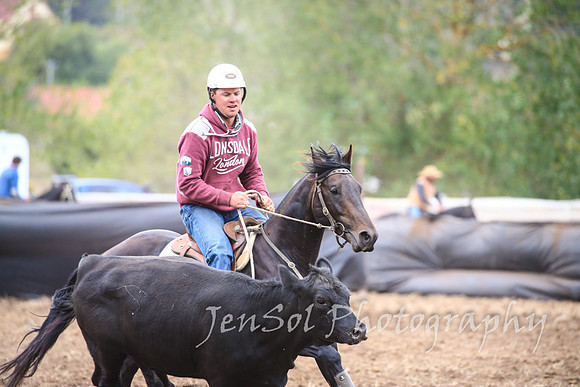 NimmitabelCampdraft2017_3205