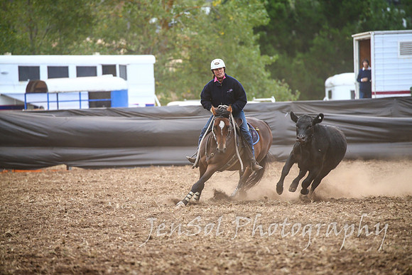 NimmitabelCampdraft2017_2389