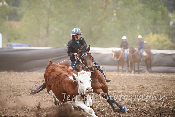 NimmitabelCampdraft2017_3171