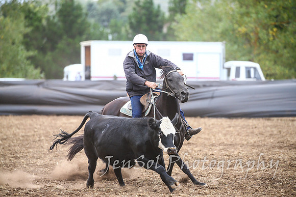 NimmitabelCampdraft2017_3190