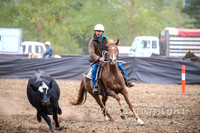 NimmitabelCampdraft2017_2168
