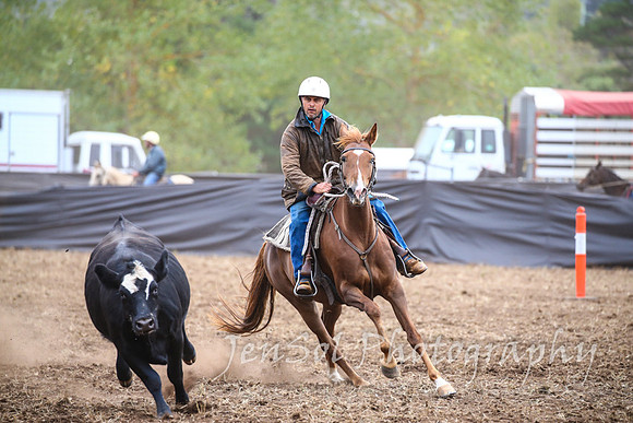 NimmitabelCampdraft2017_2168