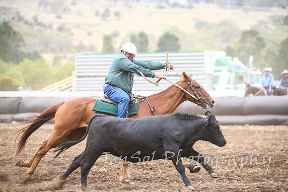 NimmitabelCampdraft2017_3275