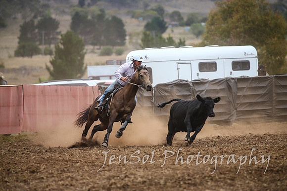 NimmitabelCampdraft2017_2694