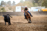 NimmitabelCampdraft2017_2138