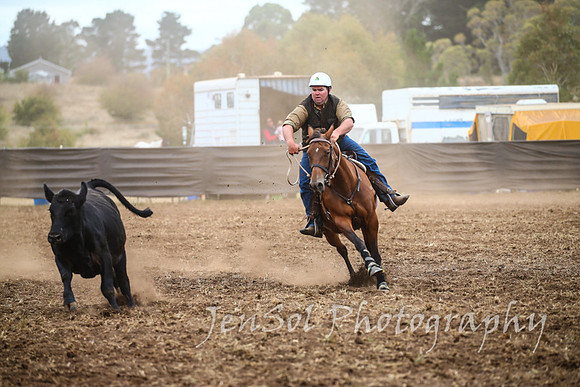 NimmitabelCampdraft2017_2138
