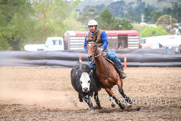 NimmitabelCampdraft2017_3290
