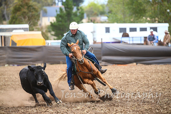NimmitabelCampdraft2017_2687