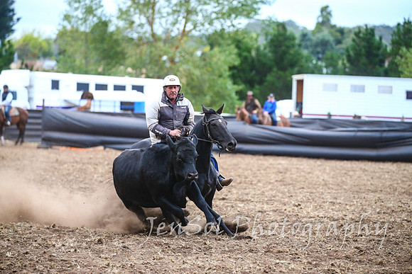 NimmitabelCampdraft2017_3744