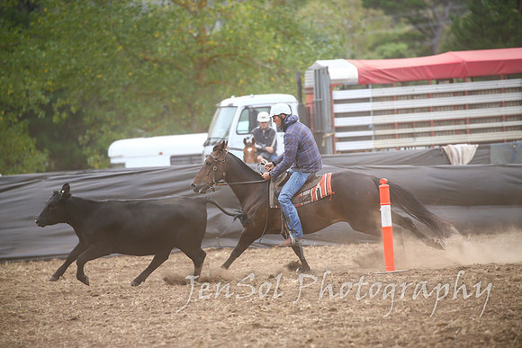 NimmitabelCampdraft2017_2633