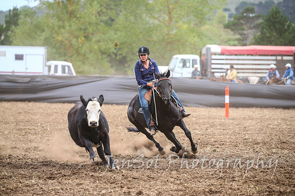 NimmitabelCampdraft2017_2354