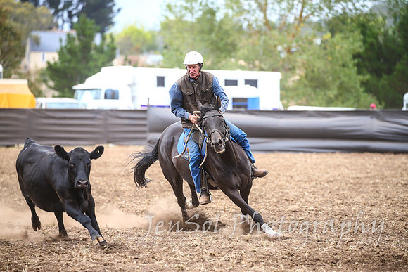 NimmitabelCampdraft2017_3283