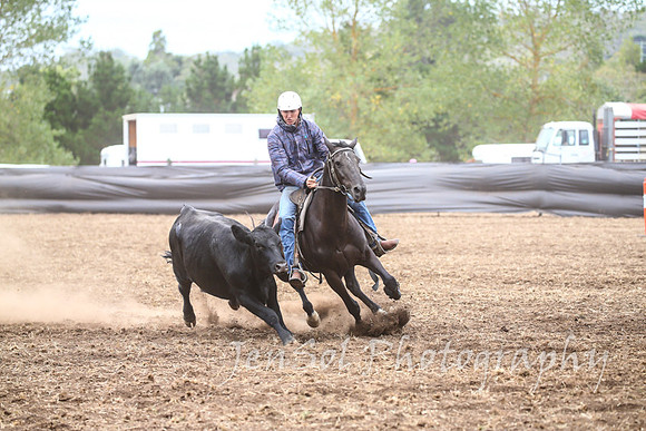 NimmitabelCampdraft2017_3227