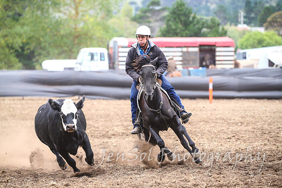 NimmitabelCampdraft2017_3186
