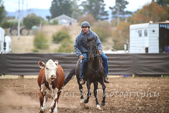 NimmitabelCampdraft2017_2527