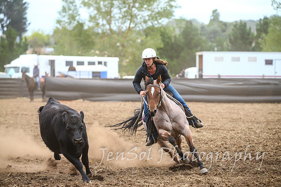 NimmitabelCampdraft2017_2438