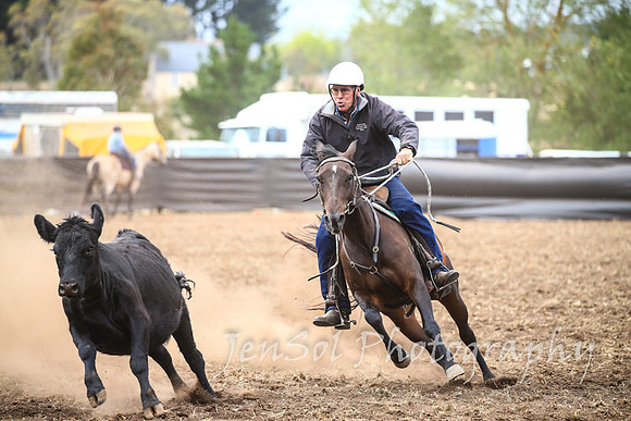 NimmitabelCampdraft2017_3318