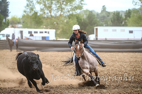 NimmitabelCampdraft2017_2439