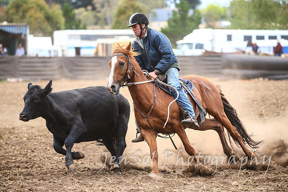 NimmitabelCampdraft2017_2814
