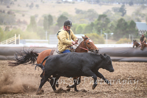 NimmitabelCampdraft2017_2649