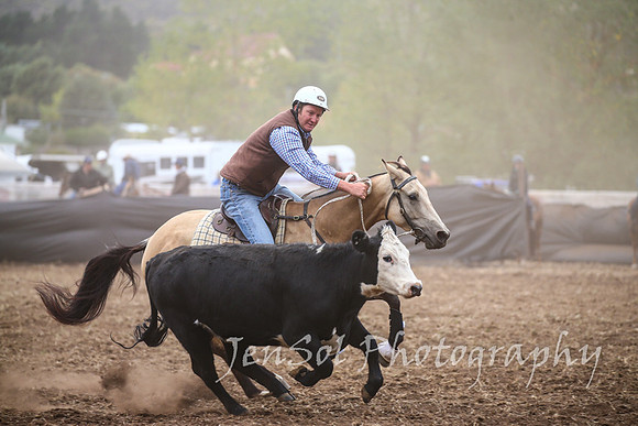 NimmitabelCampdraft2017_2474