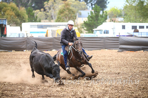 NimmitabelCampdraft2017_3312
