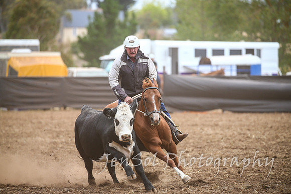 NimmitabelCampdraft2017_2307