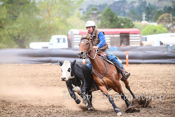 NimmitabelCampdraft2017_3294
