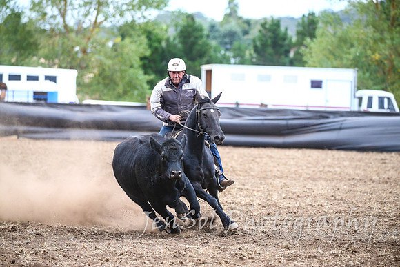 NimmitabelCampdraft2017_3732