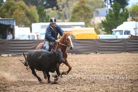 NimmitabelCampdraft2017_2792