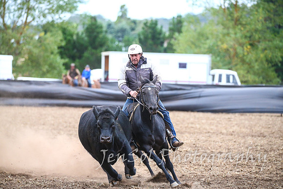 NimmitabelCampdraft2017_3738