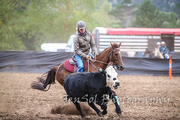 NimmitabelCampdraft2017_2195