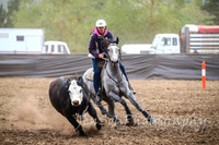 NimmitabelCampdraft2017_2244