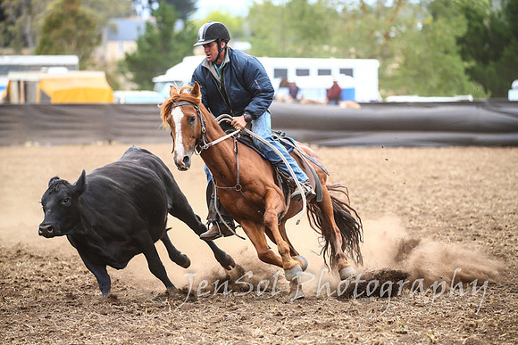 NimmitabelCampdraft2017_2818