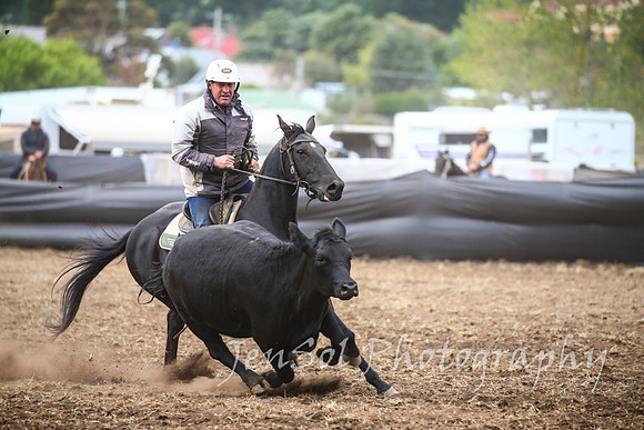 NimmitabelCampdraft2017_3111